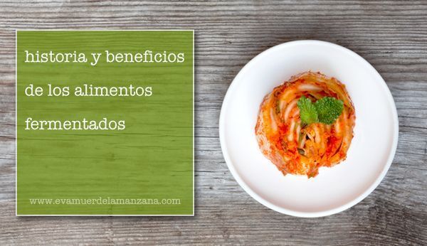 alimentos-fermentados alimentos fermentados