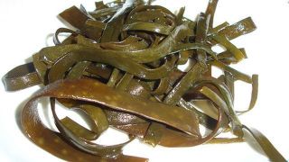 Alga Espagueti de Mar