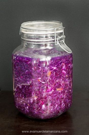 Chucrut en bote, listo para fermentar
