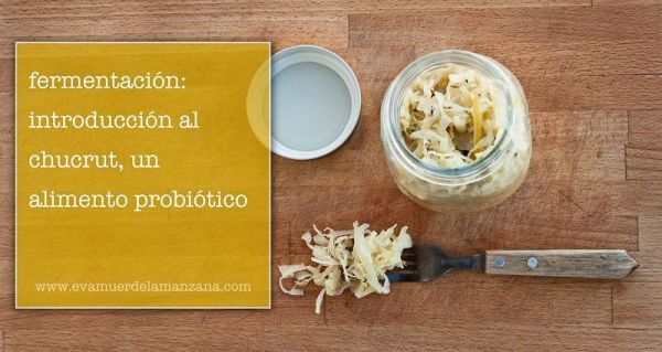 alimento probiótico