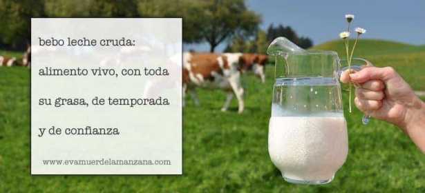 Bebo leche cruda