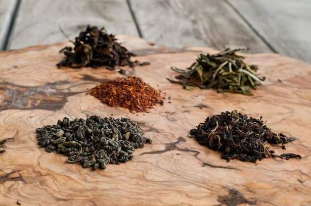 Selección de tés para elaborar kombucha