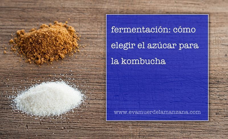 Fermentación: cómo elegir el azúcar para la kombucha