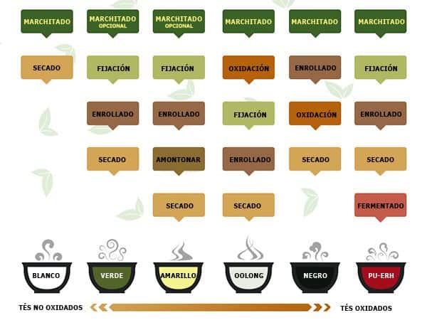 Elaboración del té
