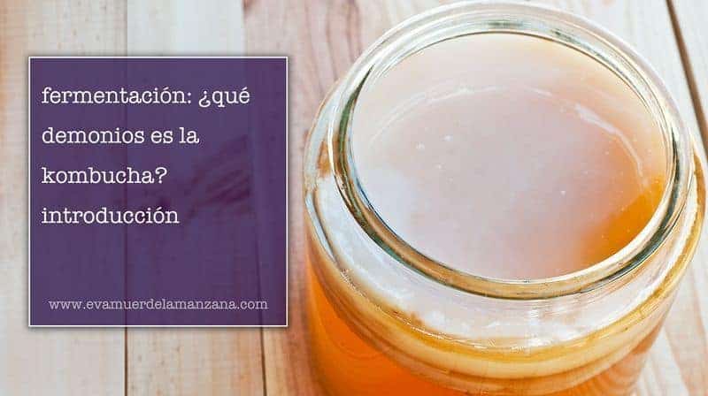 Fermentación: ¿Qué demonios es la kombucha?