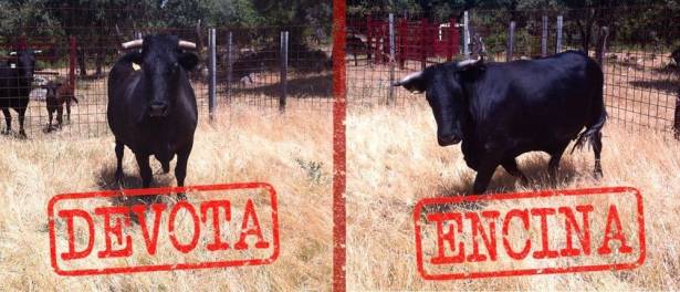 Carne de vaca alimentada con pasto, sin piensos