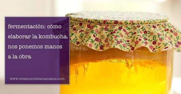 Fermentación: Cómo elaborar la kombucha