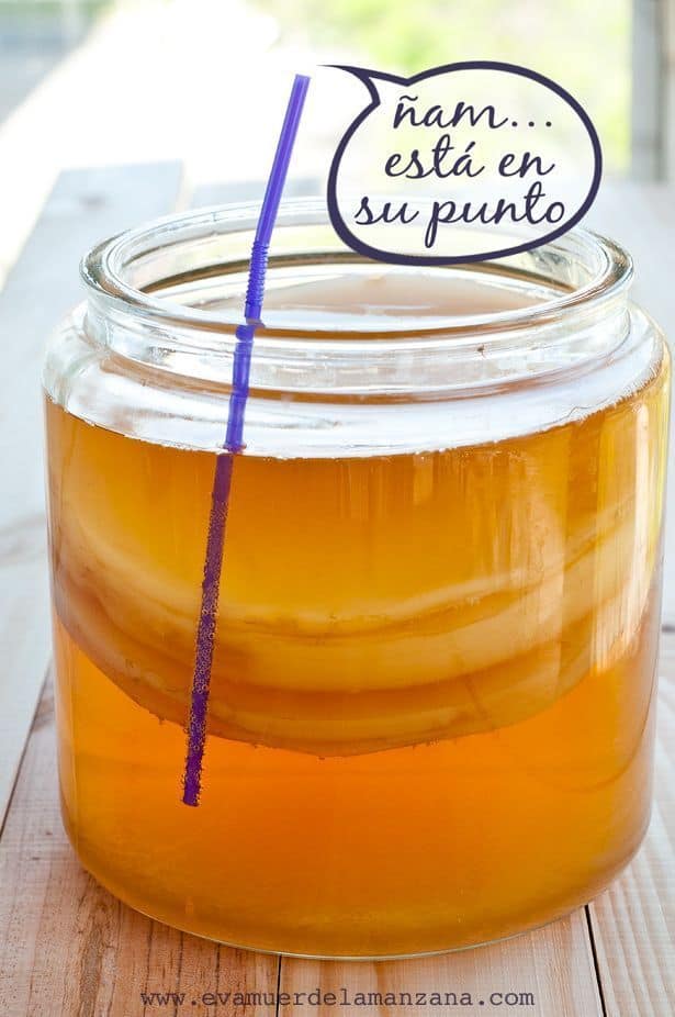 Probando la kombucha Probando la kombucha