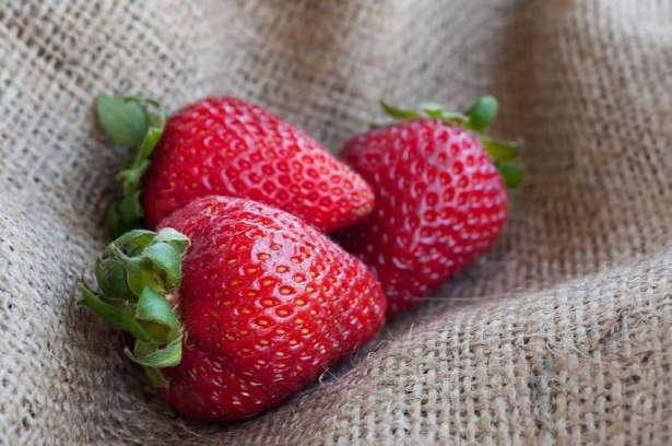 Fruta fresca de verano, fresas