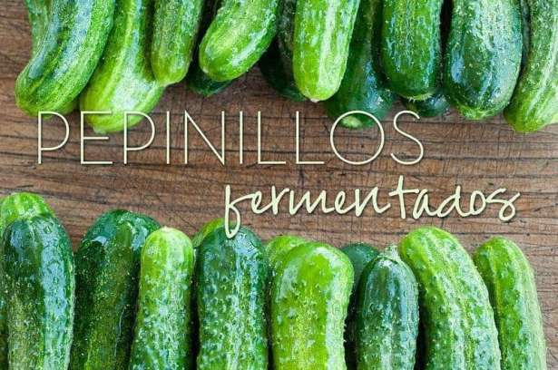 Receta pepinillos fermentados