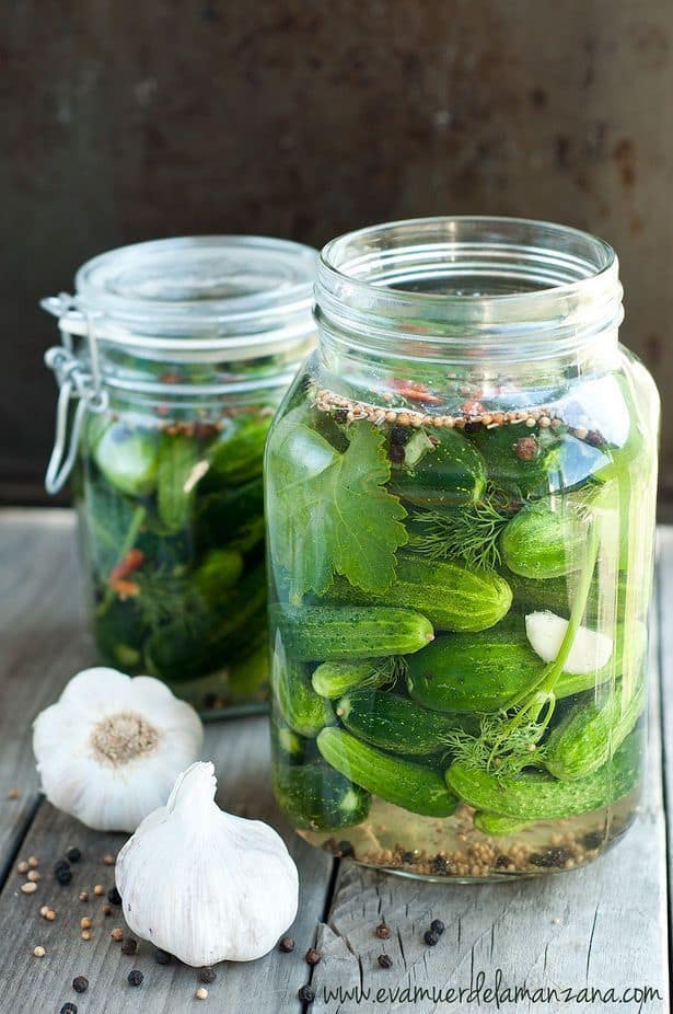 Pepinillos fermentados con eneldo y ajo Pepinillos fermentados con eneldo y ajo