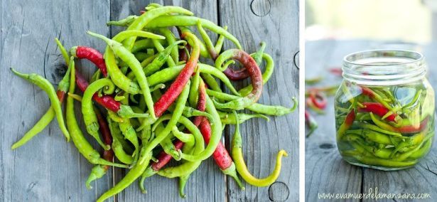 Chiles, cayenas, guindillas, pimientos lactofermentados