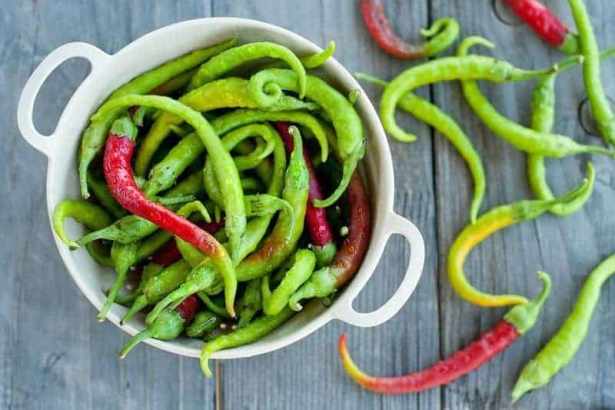 Receta: Guindillas fermentadas