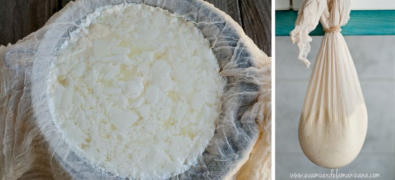 Leche cuajada y colando el cuajo para elaborar requeixo de leche cruda