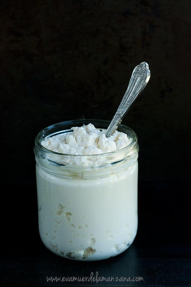 Queso crema de leche cruda