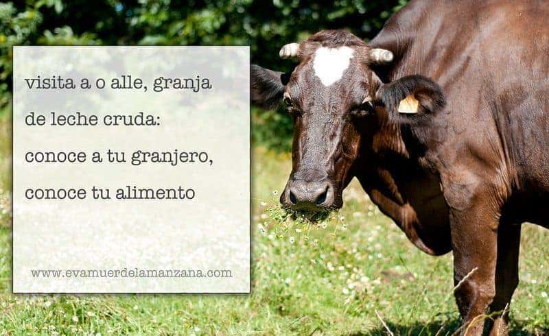 Visita a O Alle (leche cruda): Conoce a tu granjero, conoce tu alimento