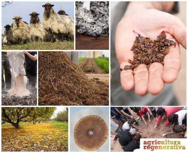 agricultura regenerativa