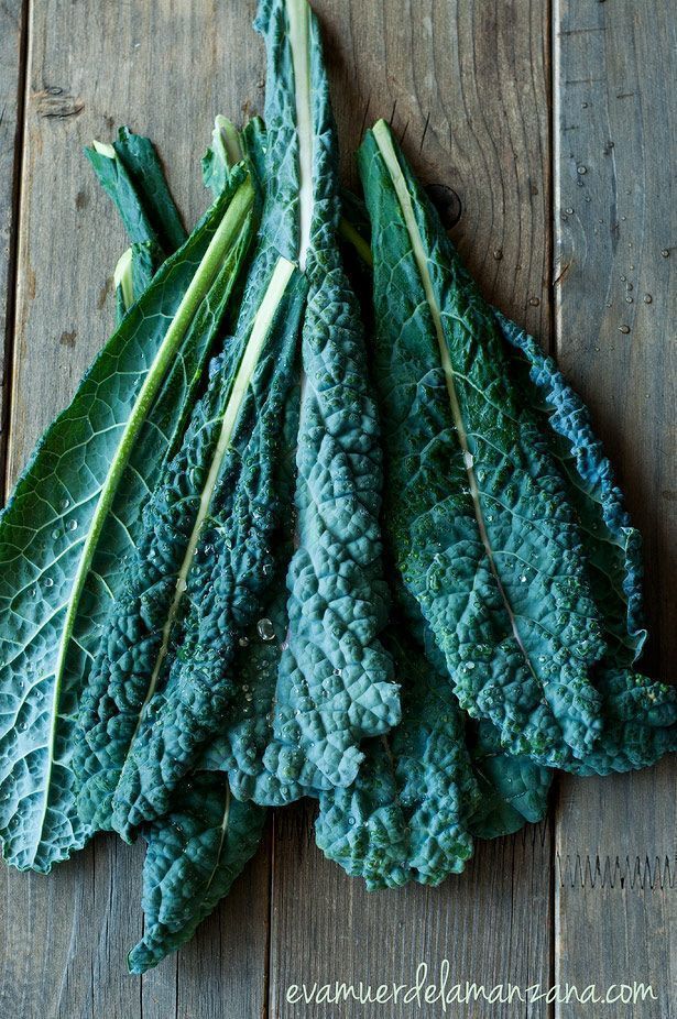 Hojas de kale Hojas de kale