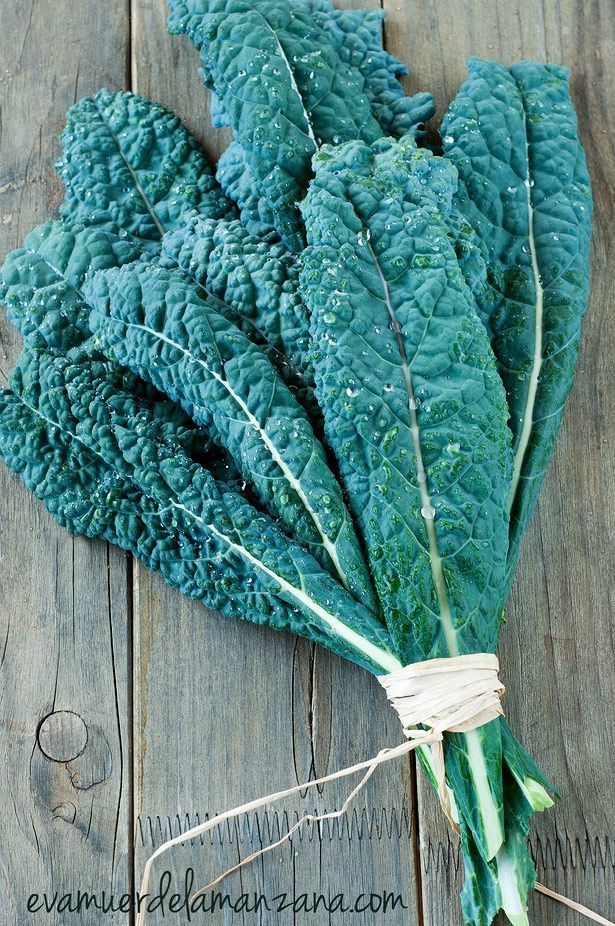 Kale Nero de Toscana, recogido de mi huerto Kale Nero de Toscana, recogido de mi huerto