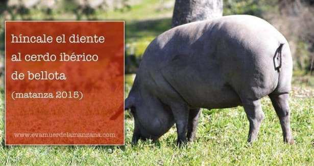 cerdo ibérico 