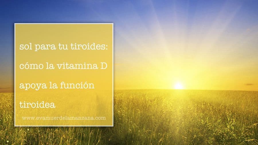 Mejora tu función tiroidea con vitamina D