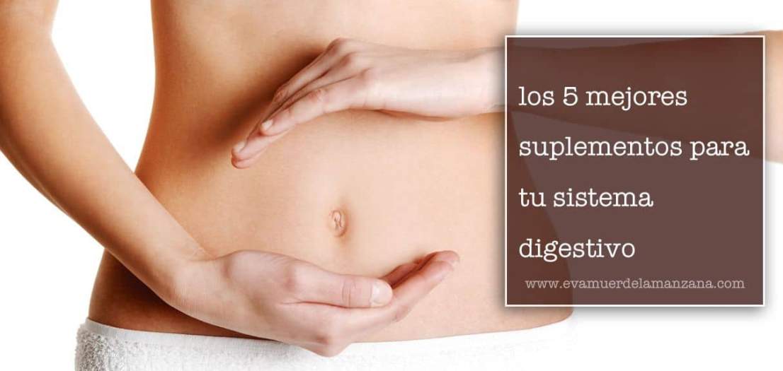 Los 5 mejores suplementos para mantener un sistema digestivo saludable Los 5 mejores suplementos para mantener un sistema digestivo saludable